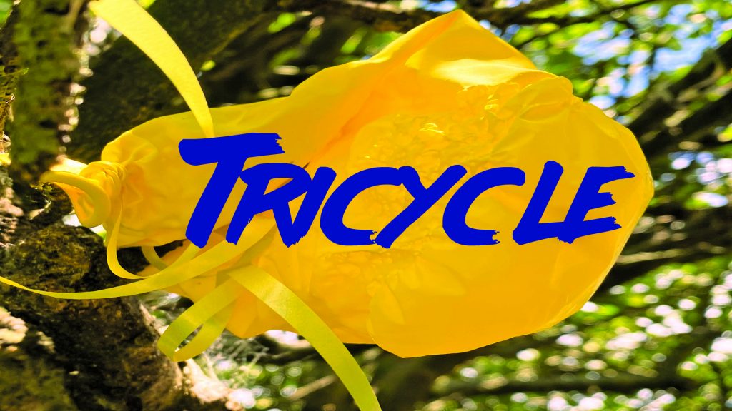 Braybrook Productions | Tricycle